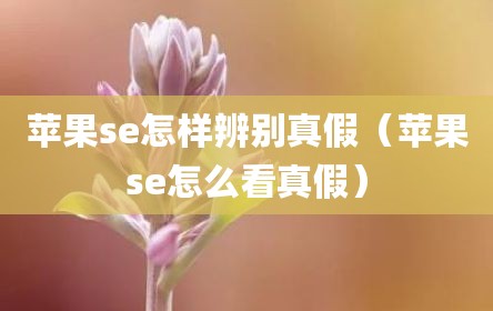 苹果se怎样辨别真假（苹果se怎么看真假）