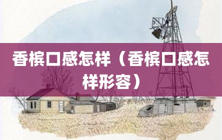 香槟口感怎样（香槟口感怎样形容）