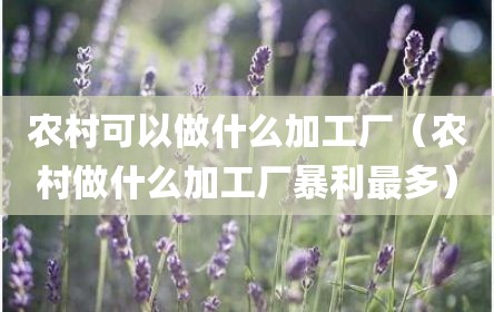农村可以做什么加工厂（农村做什么加工厂暴利最多）