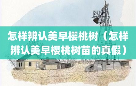 怎样辨认美早樱桃树（怎样辨认美早樱桃树苗的真假）