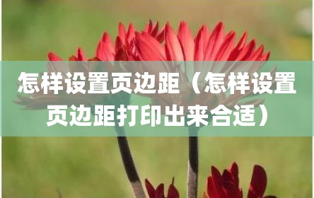怎样设置页边距（怎样设置页边距打印出来合适）