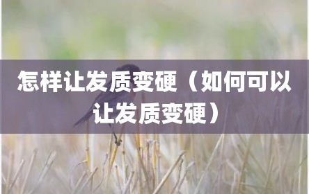 怎样让发质变硬（如何可以让发质变硬）