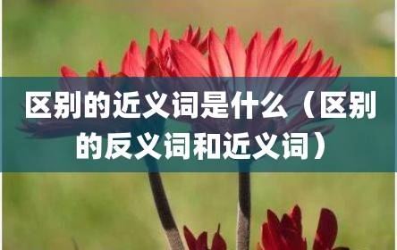 区别的近义词是什么（区别的反义词和近义词）
