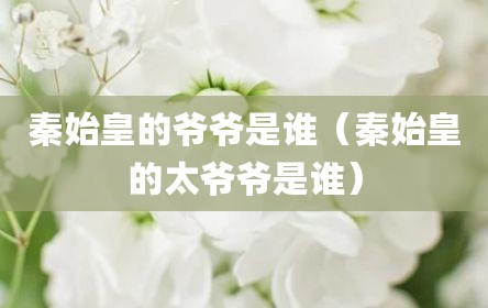 秦始皇的爷爷是谁（秦始皇的太爷爷是谁）