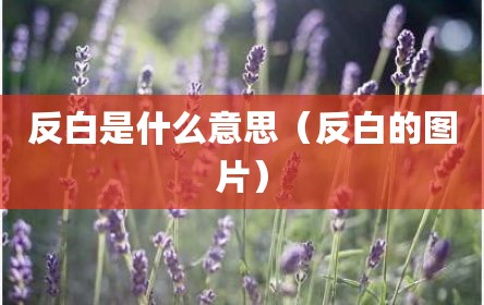 反白是什么意思（反白的图片）