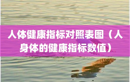 人体健康指标对照表图（人身体的健康指标数值）
