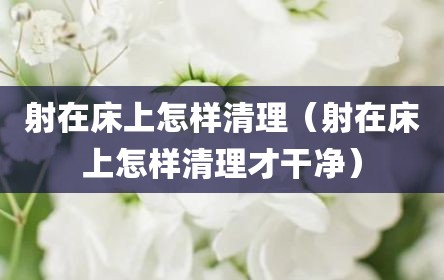 射在床上怎样清理（射在床上怎样清理才干净）