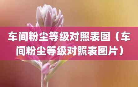 车间粉尘等级对照表图（车间粉尘等级对照表图片）