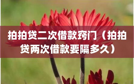拍拍贷二次借款窍门（拍拍贷两次借款要隔多久）