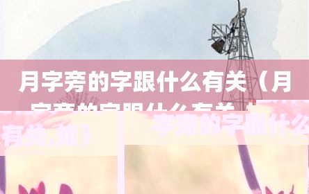 月字旁的字跟什么有关（月字旁的字跟什么有关,如）