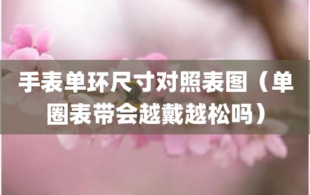 手表单环尺寸对照表图（单圈表带会越戴越松吗）