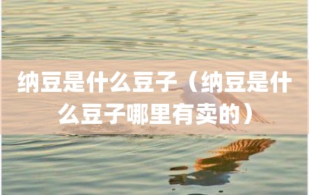 纳豆是什么豆子（纳豆是什么豆子哪里有卖的）