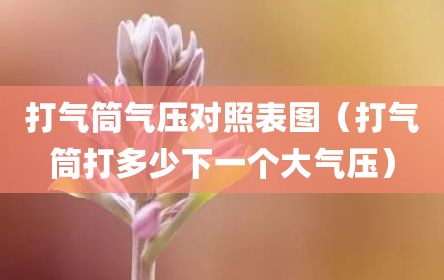 打气筒气压对照表图（打气筒打多少下一个大气压）