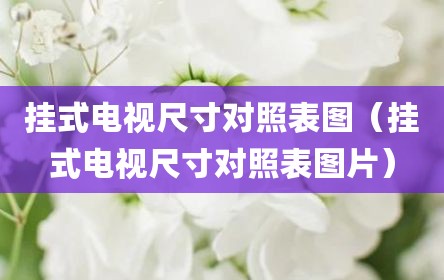 挂式电视尺寸对照表图（挂式电视尺寸对照表图片）
