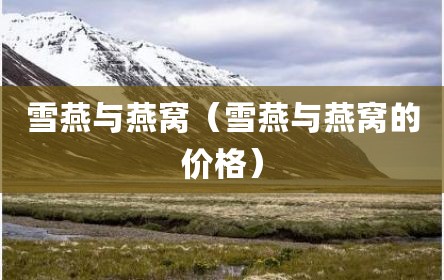 雪燕与燕窝（雪燕与燕窝的价格）
