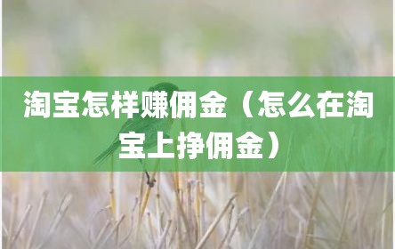 淘宝怎样赚佣金（怎么在淘宝上挣佣金）