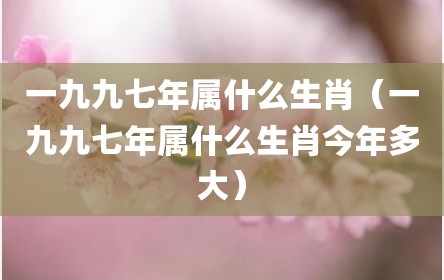 一九九七年属什么生肖（一九九七年属什么生肖今年多大）