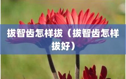 拔智齿怎样拔（拔智齿怎样拔好）