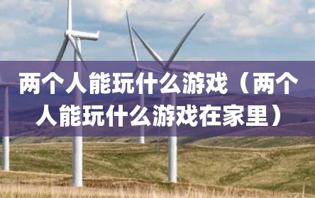 两个人能玩什么游戏（两个人能玩什么游戏在家里）