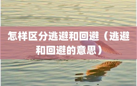 怎样区分逃避和回避（逃避和回避的意思）