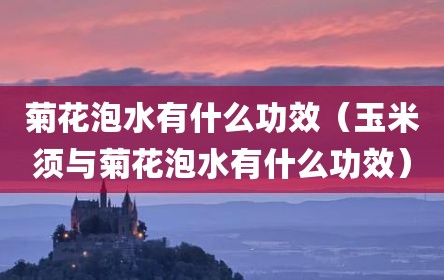 菊花泡水有什么功效（玉米须与菊花泡水有什么功效）