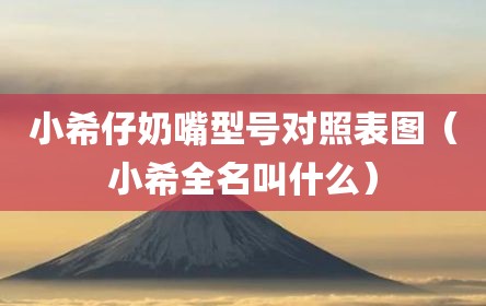 小希仔奶嘴型号对照表图（小希全名叫什么）