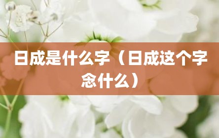 日成是什么字（日成这个字念什么）