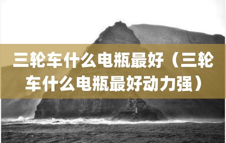 三轮车什么电瓶最好（三轮车什么电瓶最好动力强）