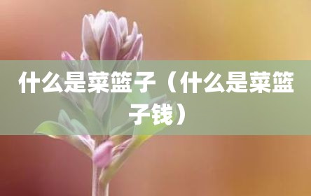 什么是菜篮子（什么是菜篮子钱）