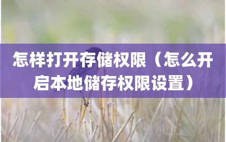 怎样打开存储权限（怎么开启本地储存权限设置）