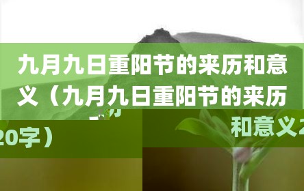 九月九日重阳节的来历和意义（九月九日重阳节的来历和意义20字）