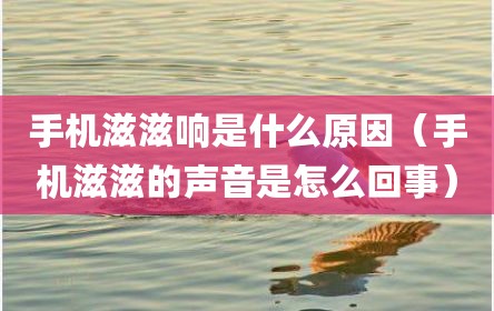 手机滋滋响是什么原因（手机滋滋的声音是怎么回事）