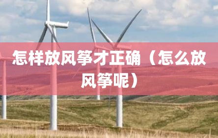 怎样放风筝才正确（怎么放风筝呢）