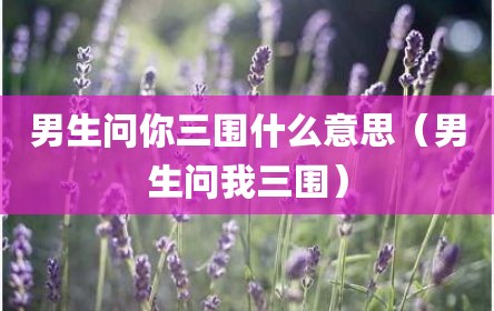 男生问你三围什么意思（男生问我三围）