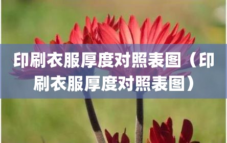 印刷衣服厚度对照表图（印刷衣服厚度对照表图）