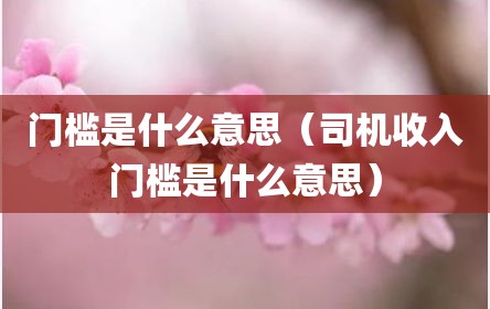 门槛是什么意思（司机收入门槛是什么意思）