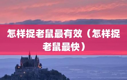怎样捉老鼠最有效（怎样捉老鼠最快）