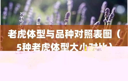 老虎体型与品种对照表图（5种老虎体型大小对比）