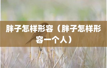 胖子怎样形容（胖子怎样形容一个人）