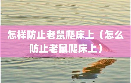 怎样防止老鼠爬床上（怎么防止老鼠爬床上）