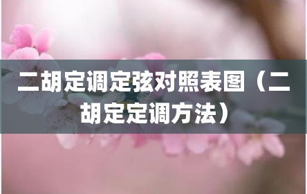 二胡定调定弦对照表图（二胡定定调方法）