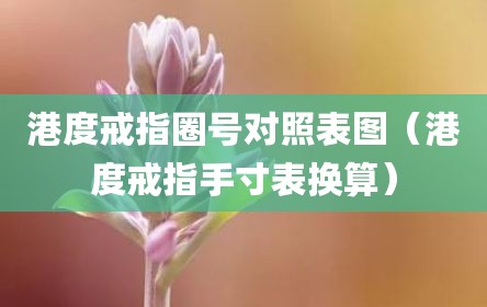 港度戒指圈号对照表图（港度戒指手寸表换算）