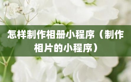 怎样制作相册小程序（制作相片的小程序）