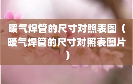 暖气焊管的尺寸对照表图（暖气焊管的尺寸对照表图片）