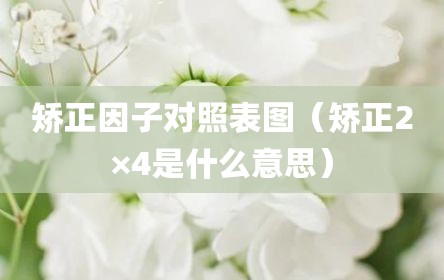 矫正因子对照表图（矫正2×4是什么意思）