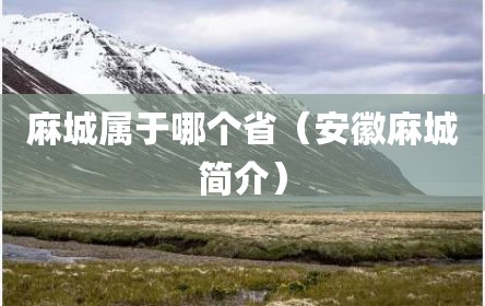 麻城属于哪个省（安徽麻城简介）