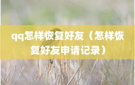 qq怎样恢复好友（怎样恢复好友申请记录）