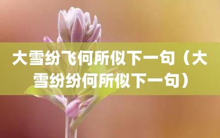 大雪纷飞何所似下一句（大雪纷纷何所似下一句）
