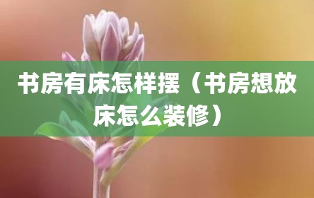 书房有床怎样摆（书房想放床怎么装修）