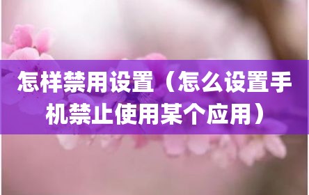 怎样禁用设置（怎么设置手机禁止使用某个应用）